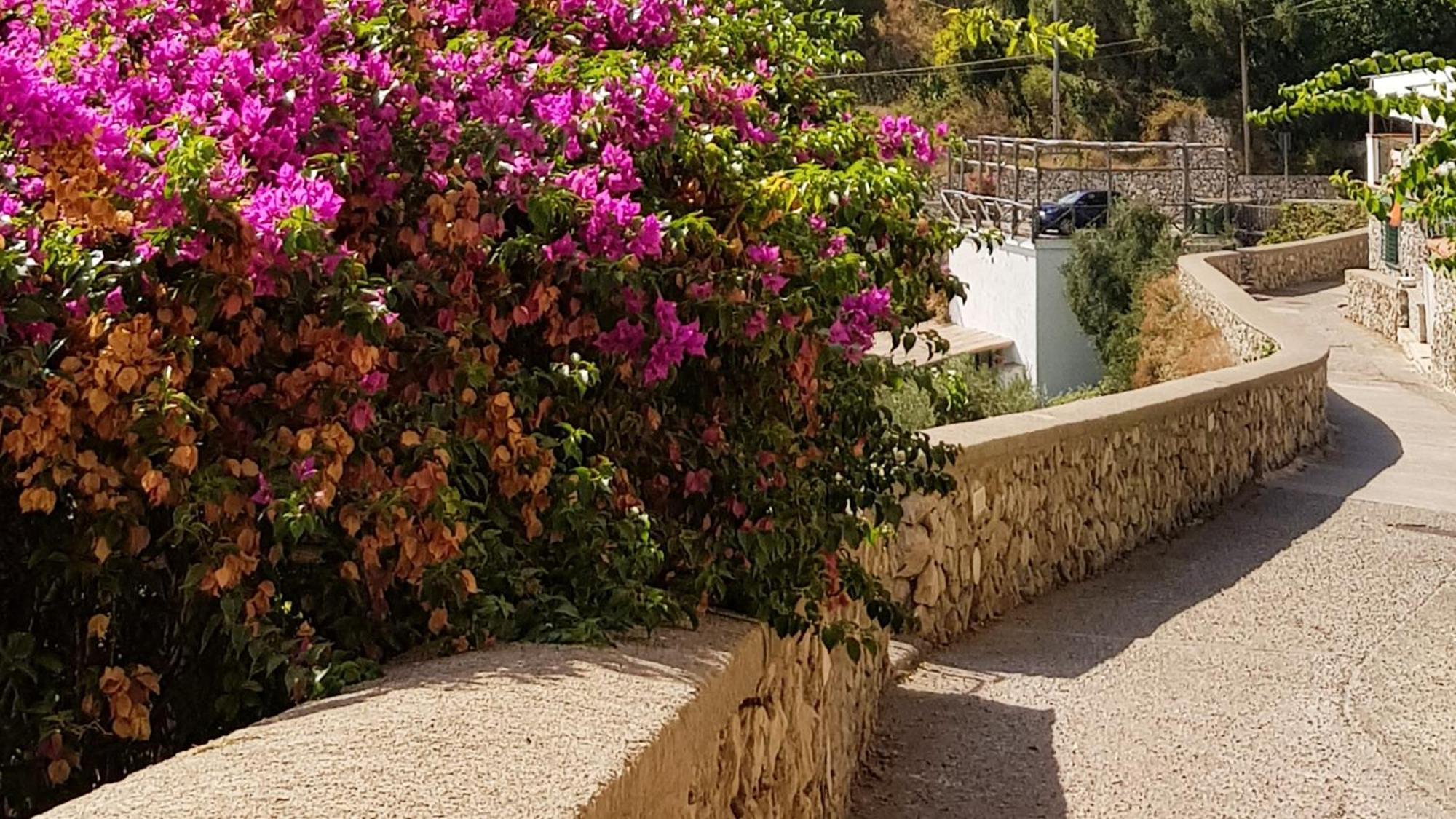 Al Poggio Antico Amalfi Exterior foto